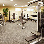 Fitness
